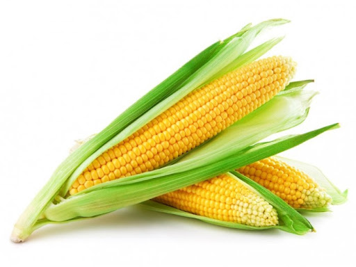 Jagung
